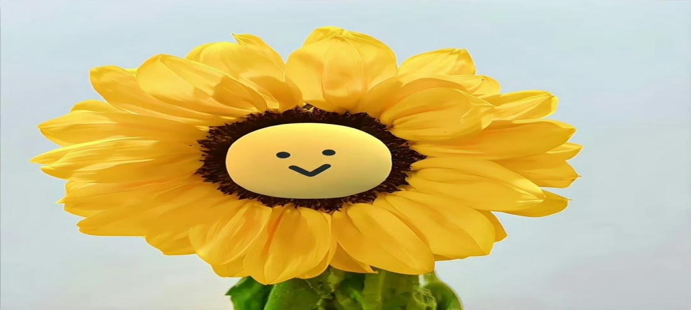 1750405980103029443.png